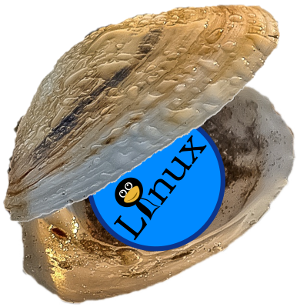 Linux Shell